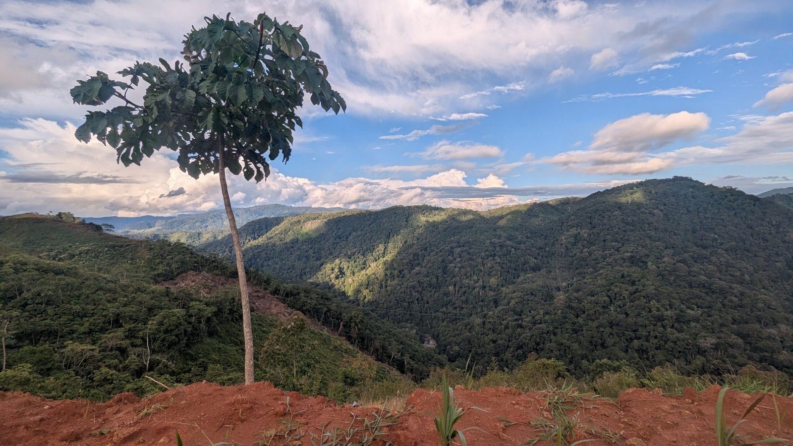 El paisaje alrededor de la BMA