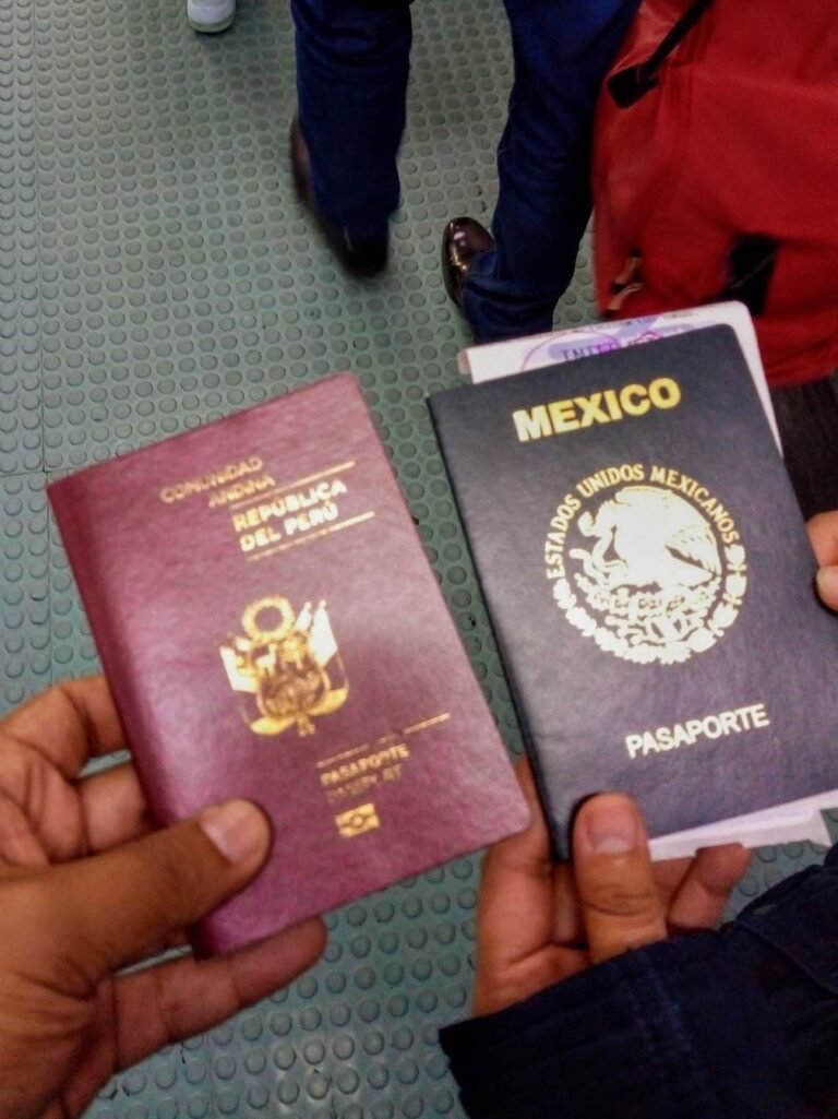 Pasaportes